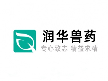 关于必赢电竞